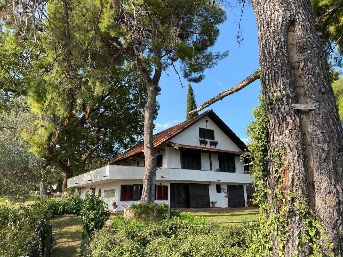 Wild Oaks Cottage Kriopigi Exterior photo